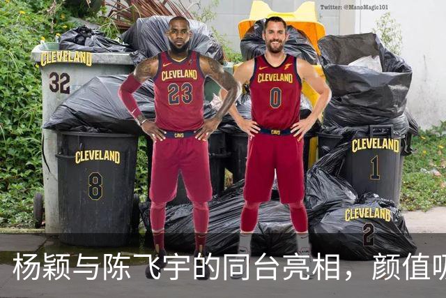 杨颖与陈飞宇的同台亮相，颜值吸睛背后隐藏玄机？